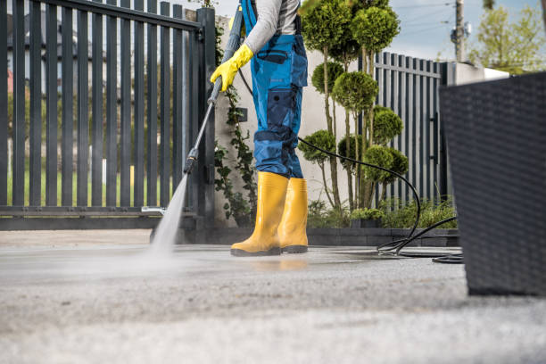 Best Dumpster Area Cleaning  in Greendale, IN